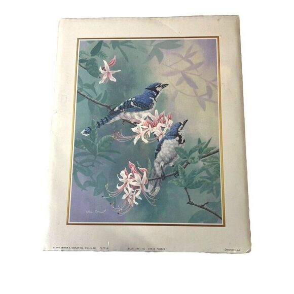 Matted Blue Jay by Chris Forrest  1994 Arthur A.  Kaplan Co Print  Litho 8x10 - Picture 1 of 8